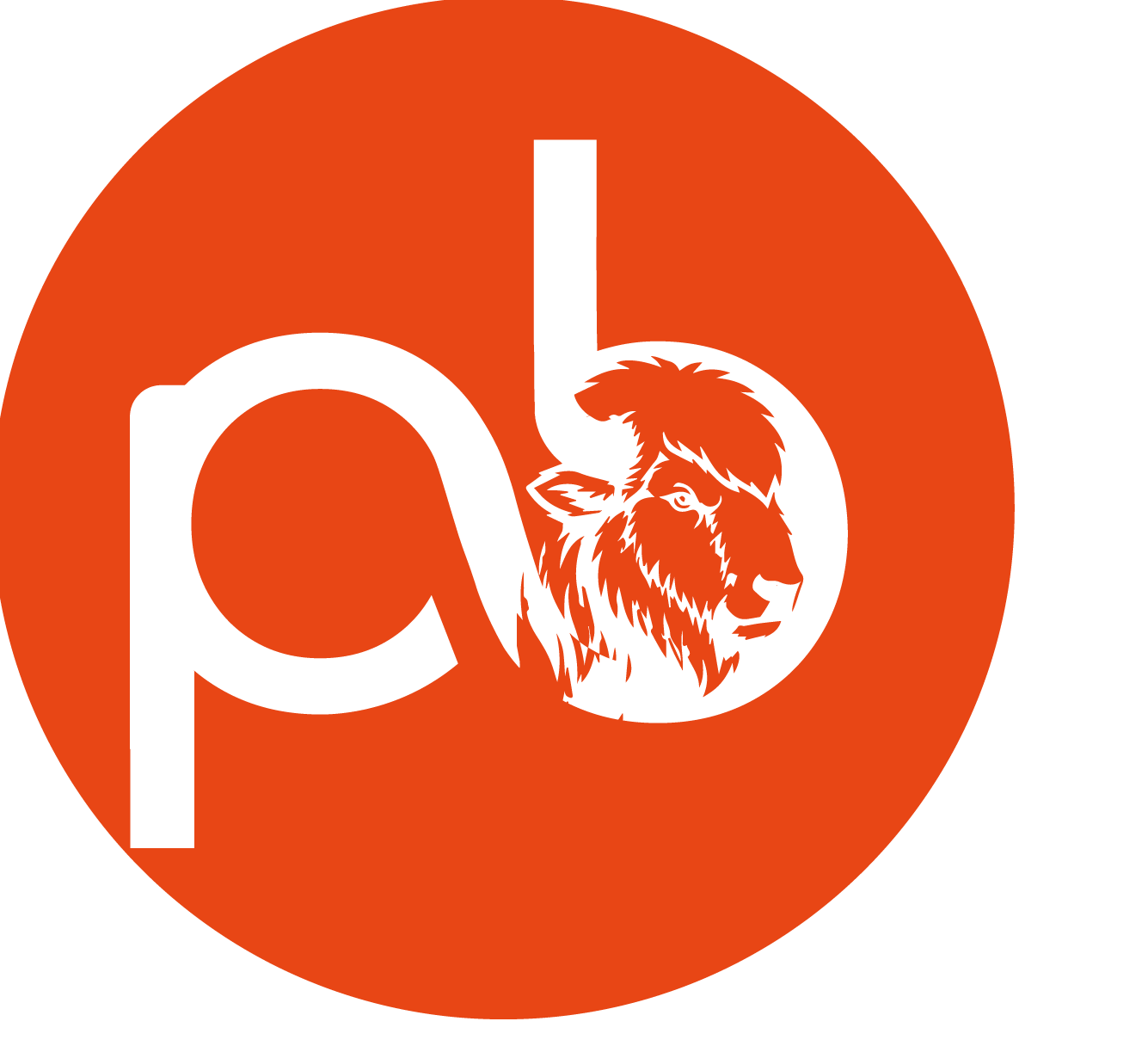 Polar Bison brand work
